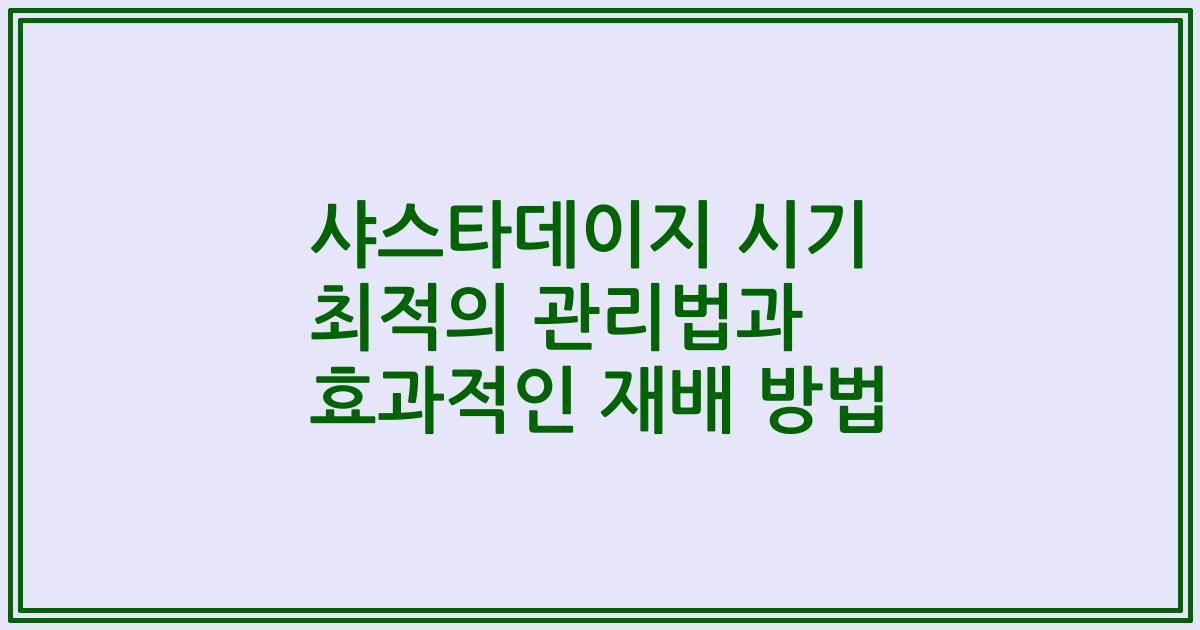 샤스타데이지 시기 최적의 관리법과 효과적인 재배 방법